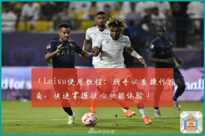 「Leisu使用教程：新手必看操作指南，快速掌握核心功能体验」