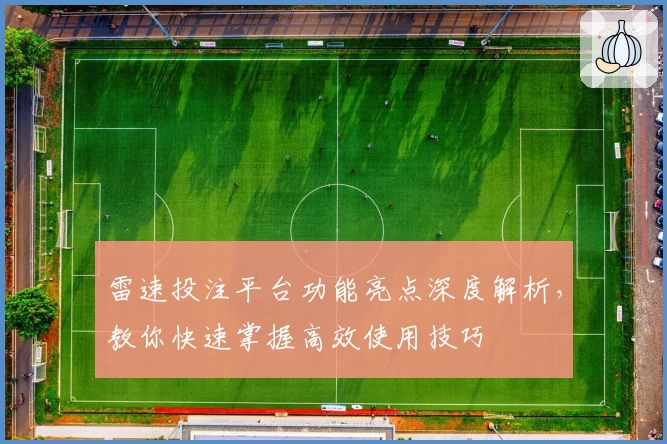 雷速投注平台功能亮点深度解析，教你快速掌握高效使用技巧